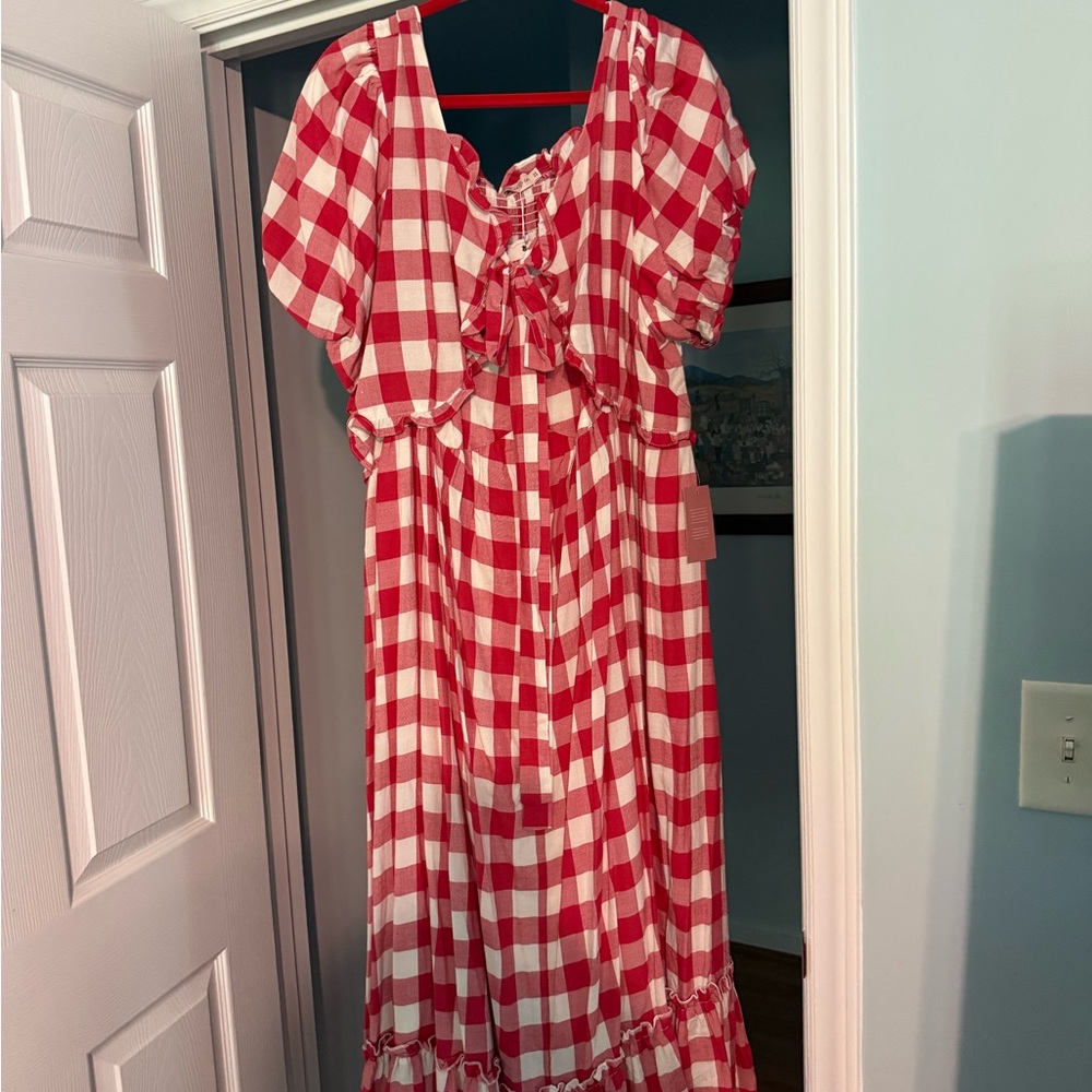 Ivy City Co Red and White Checkered Dress